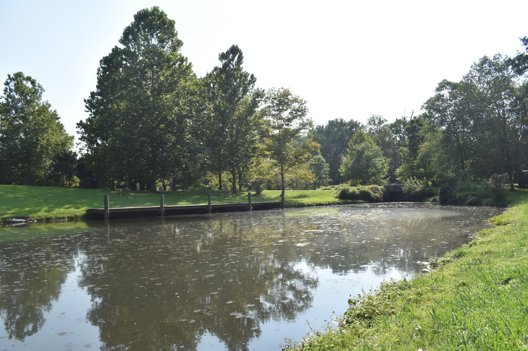 Bay Street pond